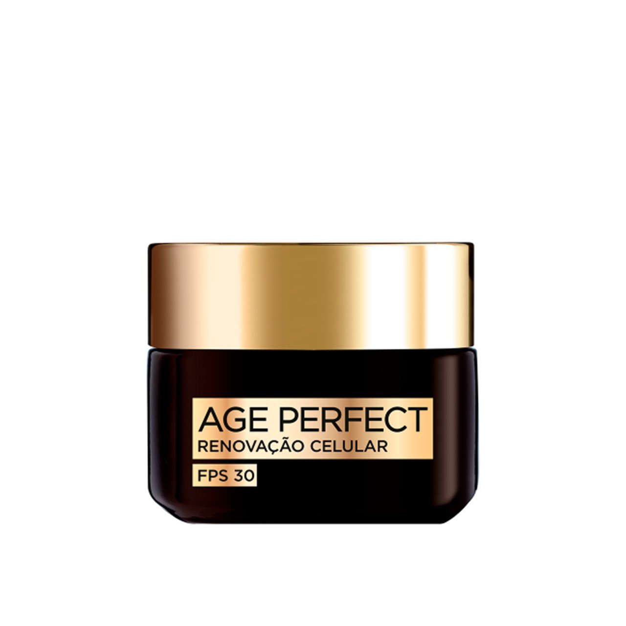 Loreal Age Perfect Revitalising Day Cream SPF30 50ml