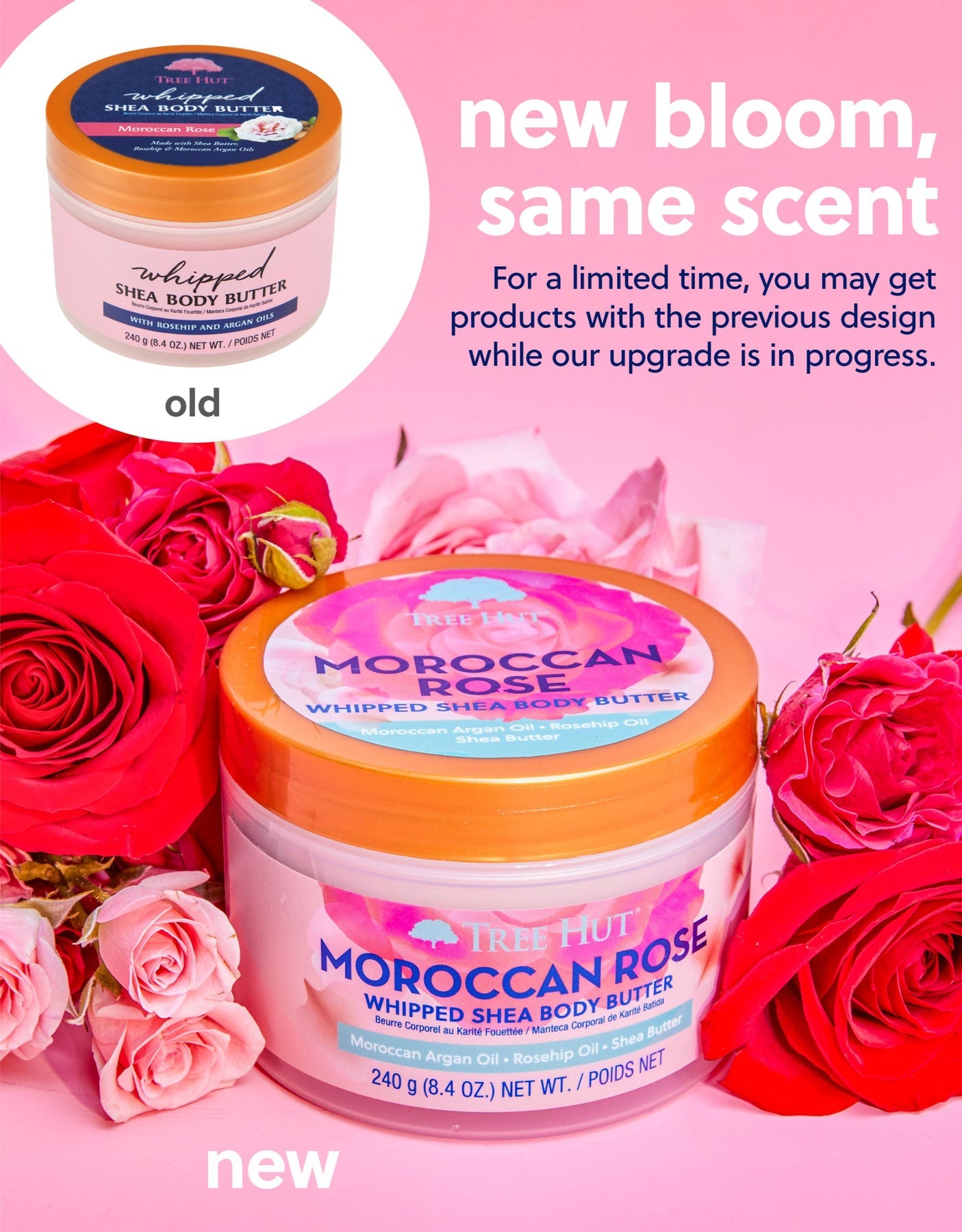 Tree Hut Moroccan Rose Whipped Shea Body Butter 240g