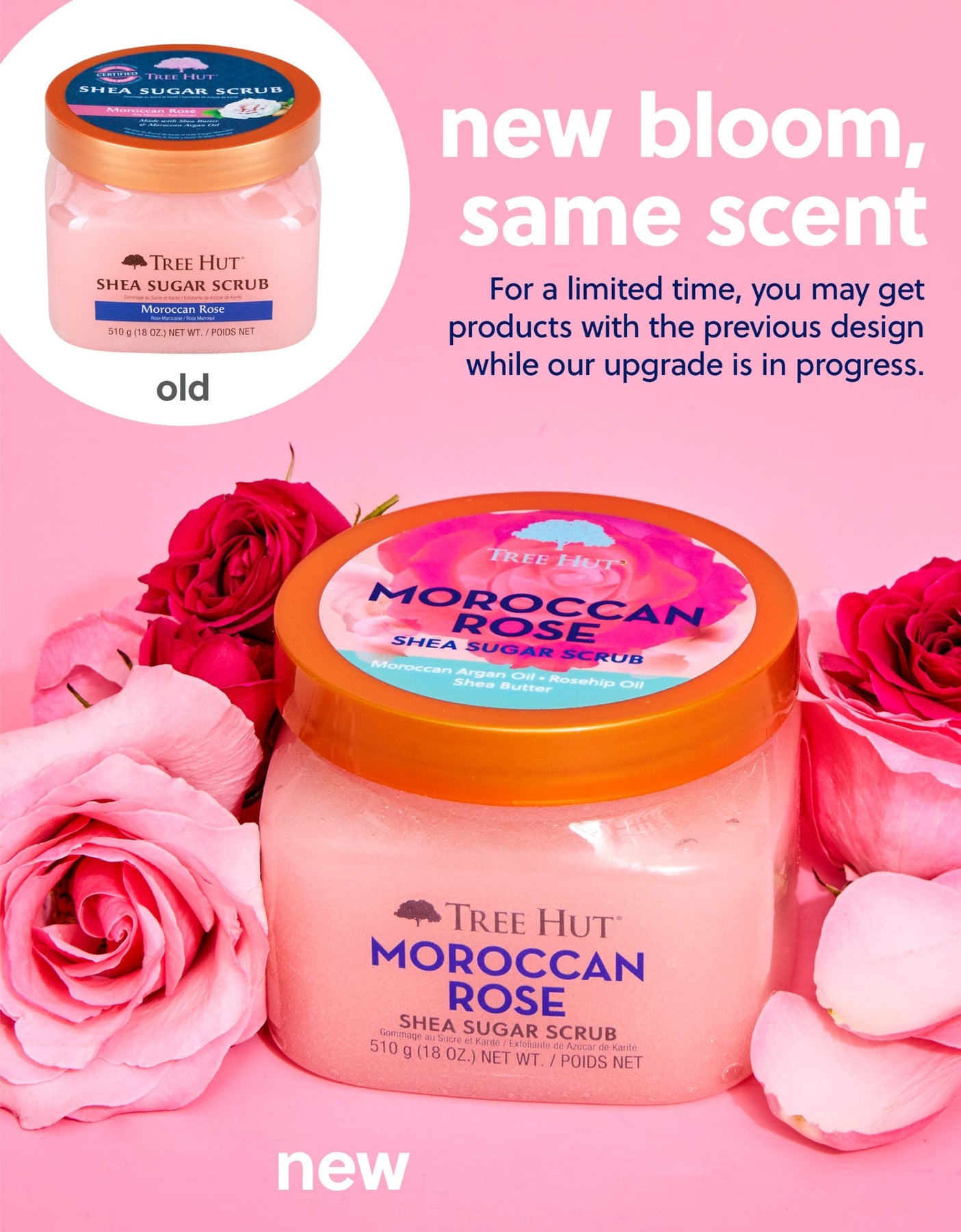 Tree Hut Moroccan Rose Shea Sugar Scrub 510g